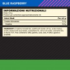 CREATINE MICRONIZED POWDER